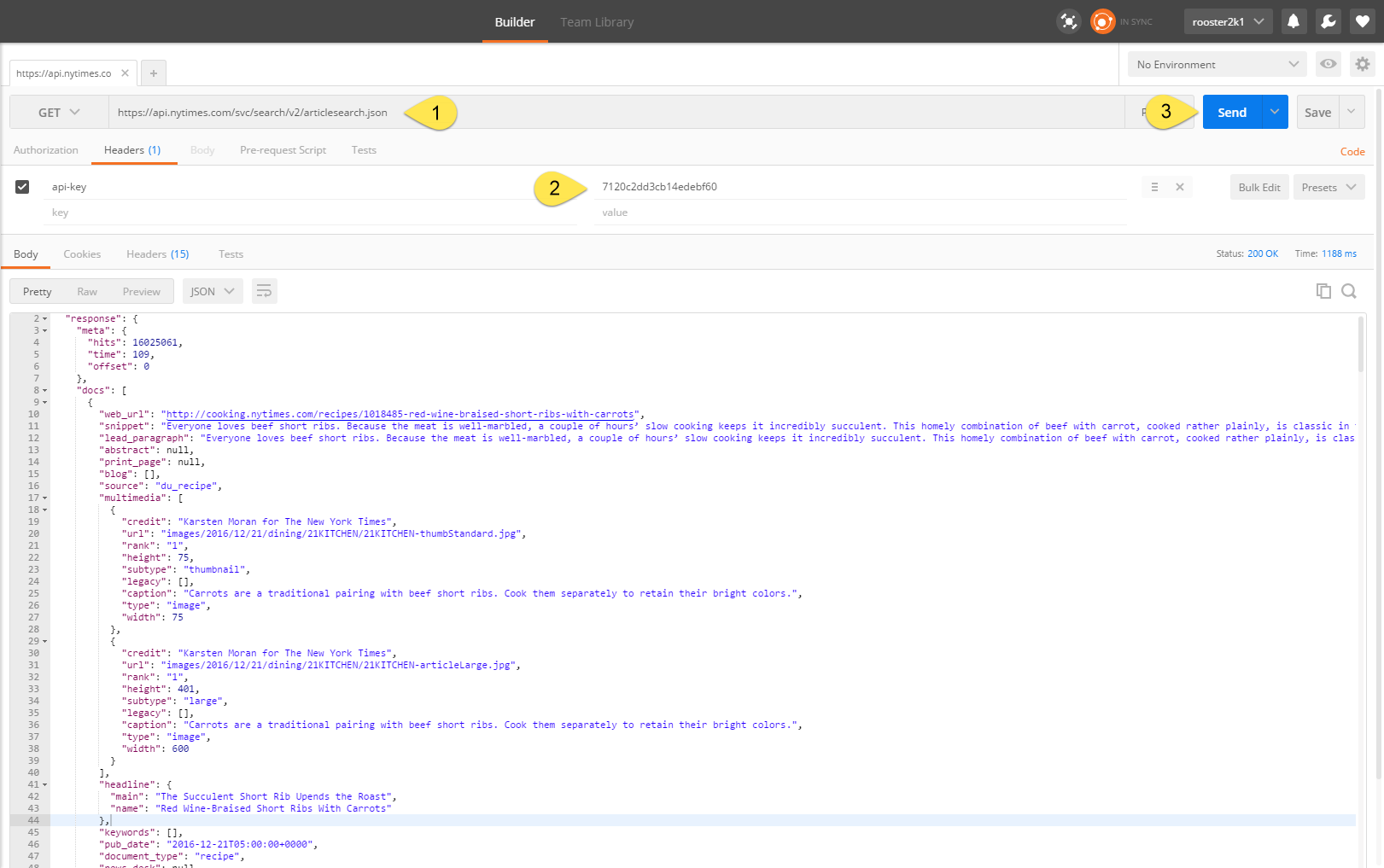 Postman with the data source endpoint and credentials entered