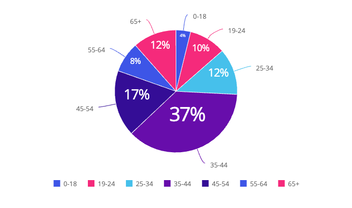 Pie chart example 1